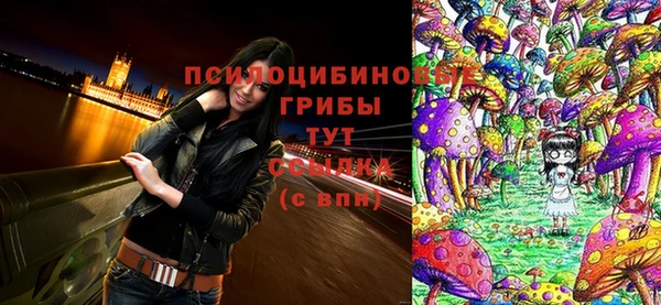 сатива Аркадак
