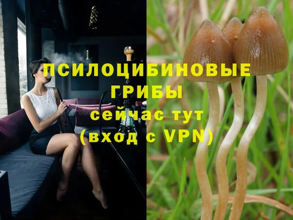 амф Баксан